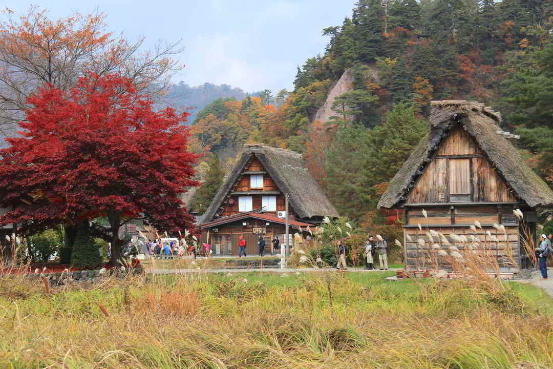 Putovanje-Japan-Jesen-u-Japanu (12)