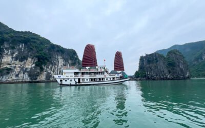 Vijetnam: Vijetnam na dlanu